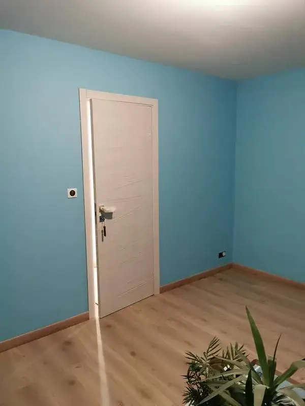 Travaux-peinture-deco(18)